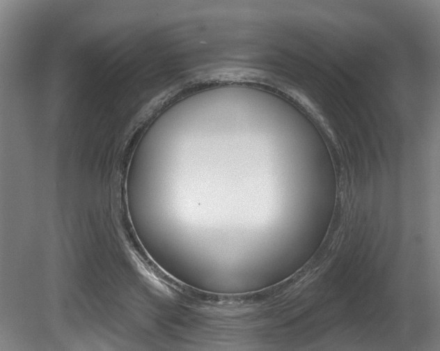 X0000081280445200701110938