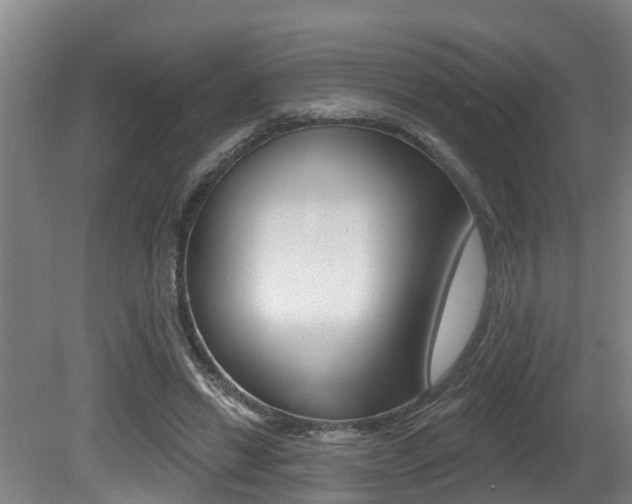X0000081280446200701110938
