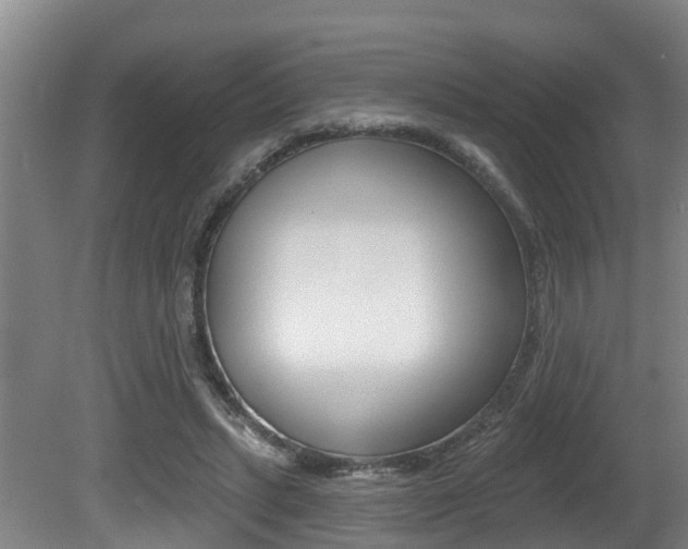 X0000081280447200701110938