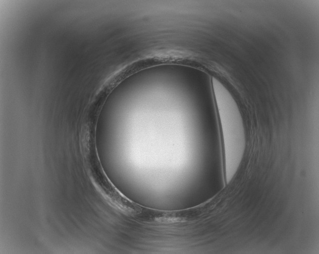 X0000081280448200701110938