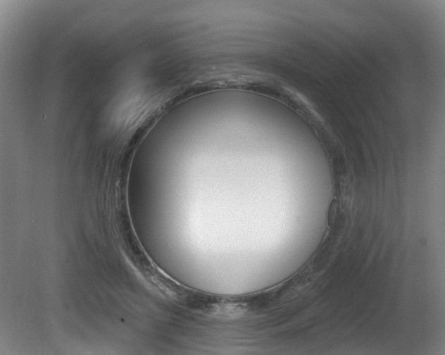 X0000081280451200701110938