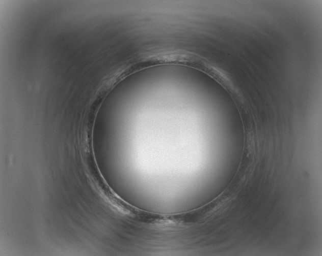 X0000081280453200701110938