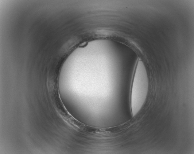 X0000081280455200701110938
