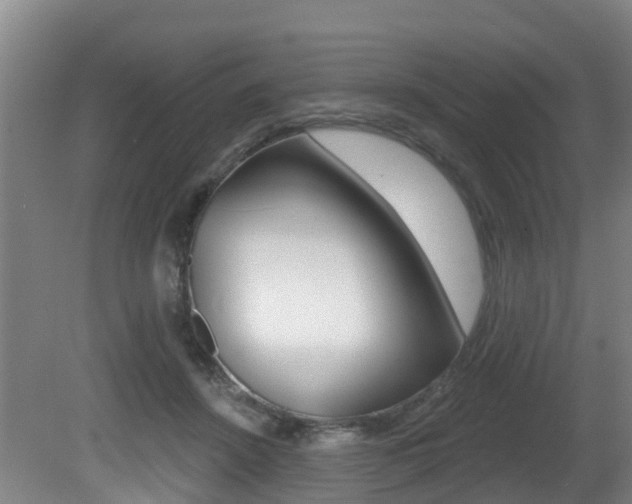 X0000081280456200701110938