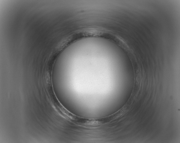X0000081280459200701110938