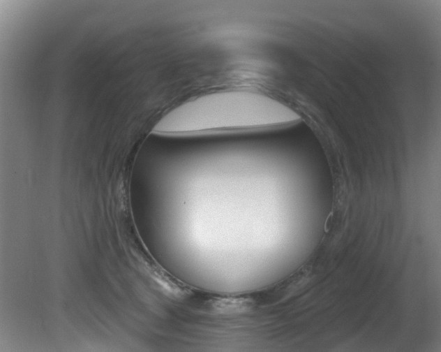 X0000081280465200701110938