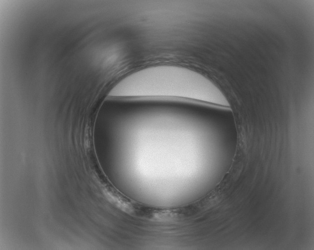 X0000081280470200701110939
