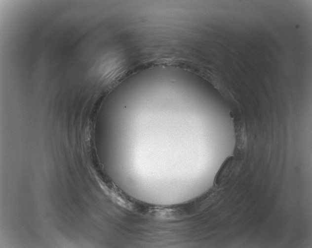 X0000081280472200701110939