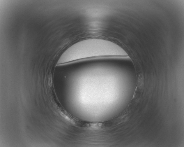 X0000081280474200701110939