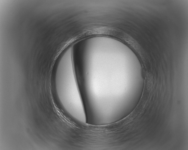 X0000081280482200701110938
