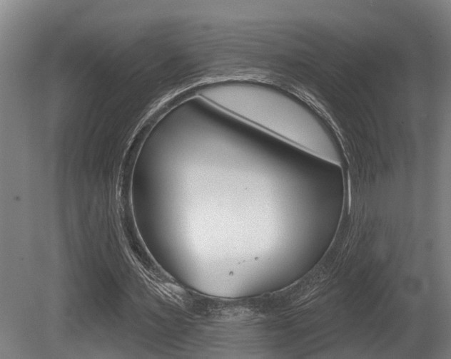 X0000081280483200701110938