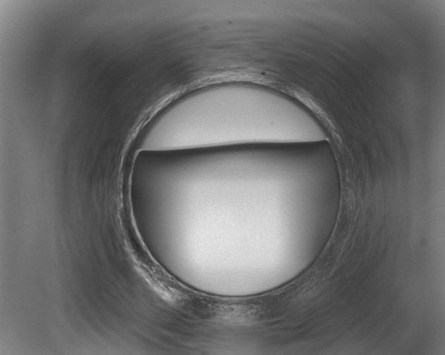 X0000081280486200701110938