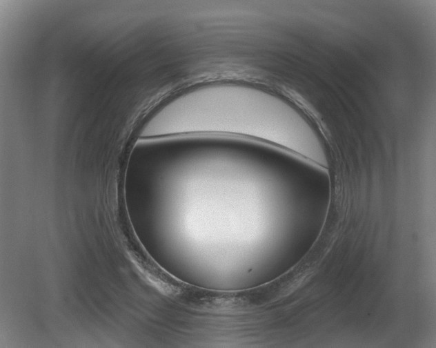 X0000081280493200701110938