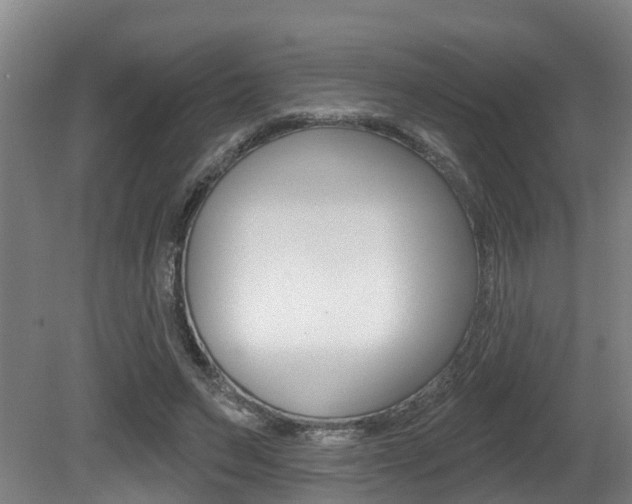X0000081280495200701110938