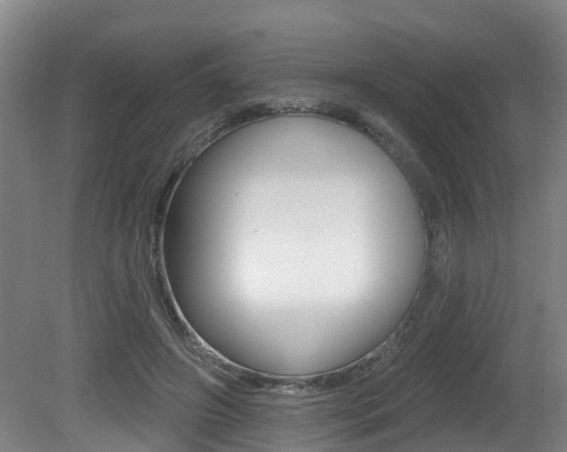 X0000081280498200701110938
