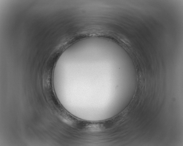 X0000081280499200701110938