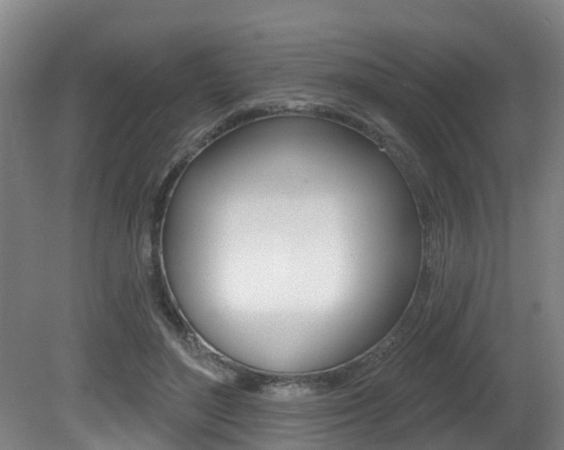 X0000081280500200701110938