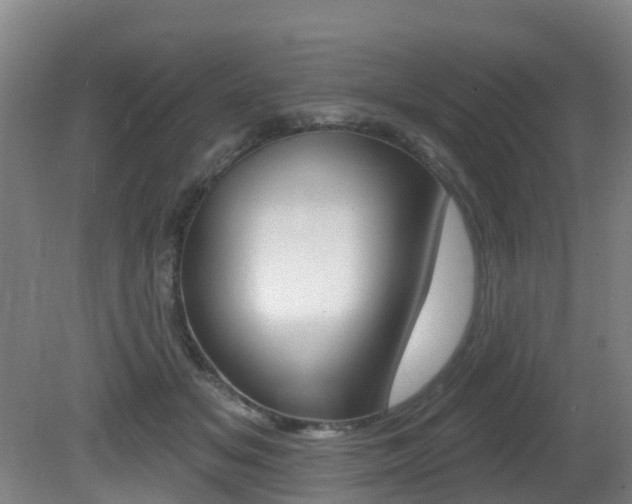X0000081280509200701110937