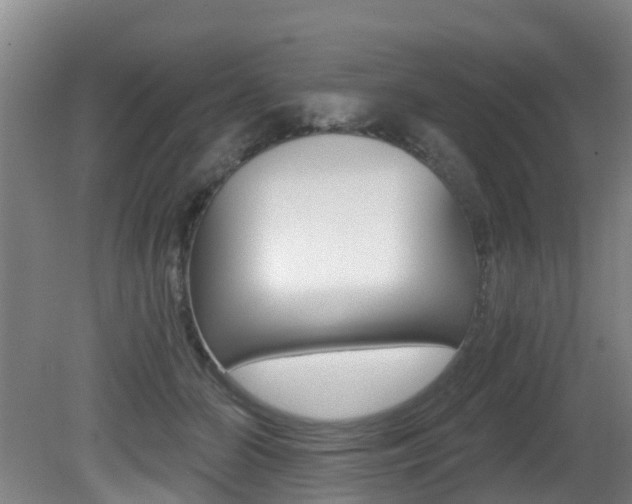 X0000081280510200701110937