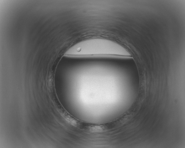 X0000081280513200701110937