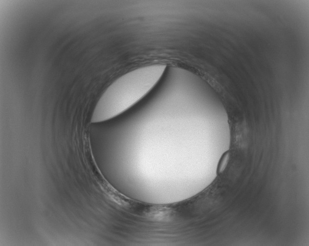 X0000081280514200701110937