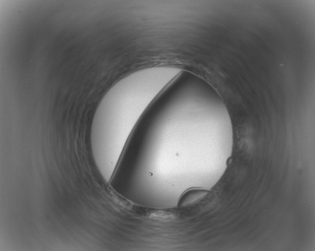 X0000081280515200701110937
