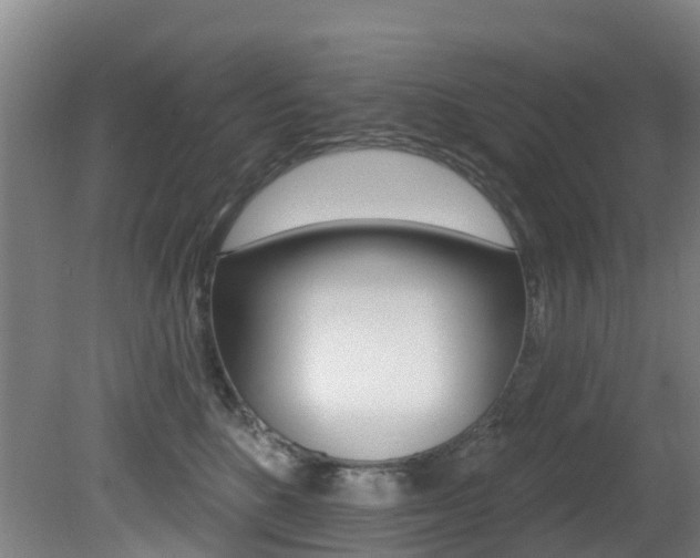 X0000081280520200701110937