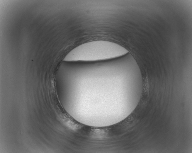 X0000081280522200701110937