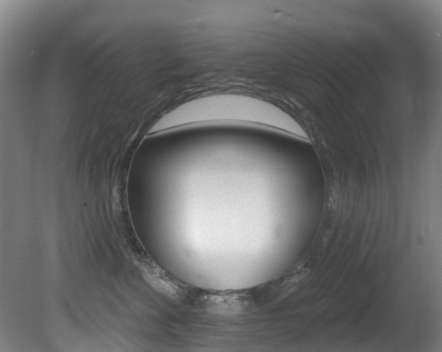 X0000081280524200701110937