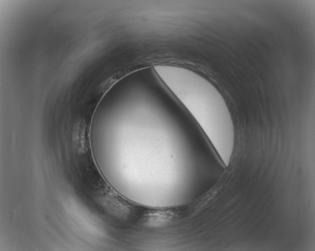 X0000081280525200701110937
