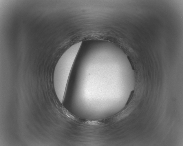X0000081280528200701110937