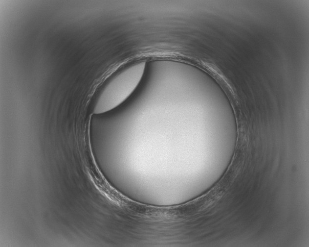 X0000081280533200701110936