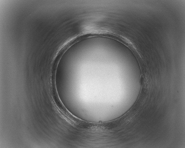 X0000081280535200701110936