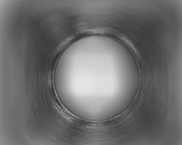 X0000081280537200701110936