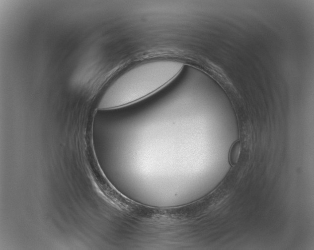 X0000081280538200701110936