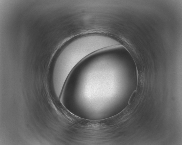 X0000081280540200701110936