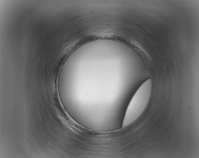 X0000081280541200701110936