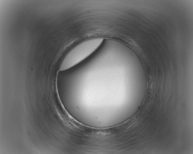 X0000081280542200701110936