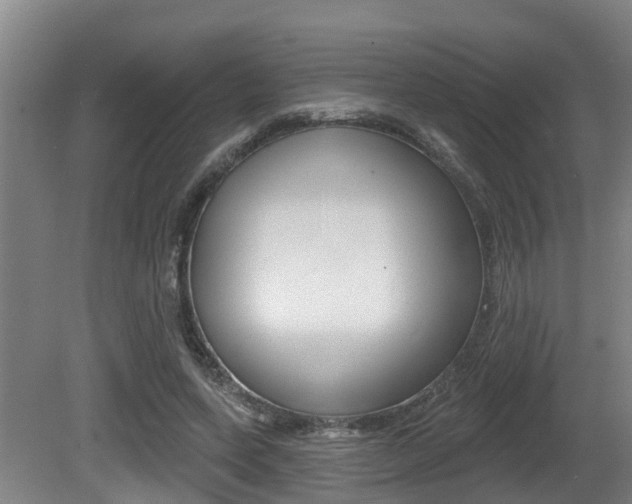 X0000081280543200701110936
