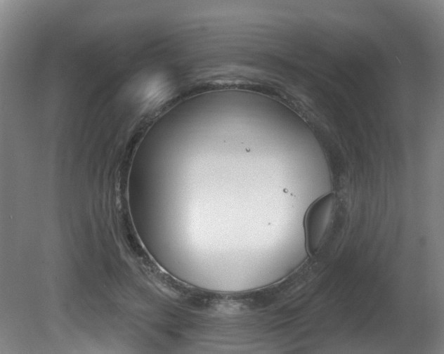 X0000081280547200701110937