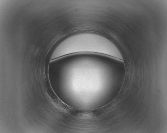 X0000081280548200701110937