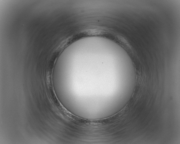 X0000081280549200701110937