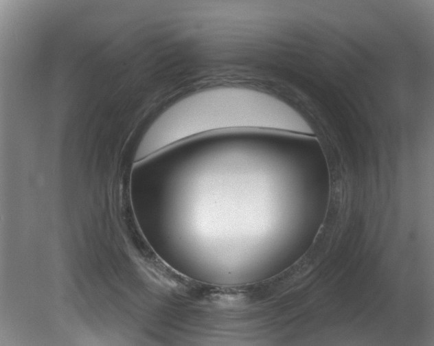 X0000081280552200701110937