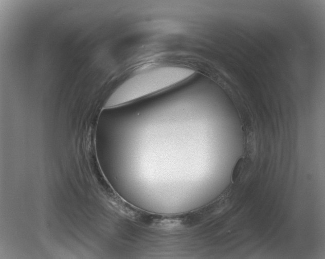 X0000081280554200701110937