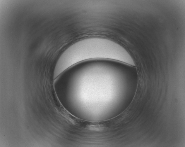 X0000081280556200701110937