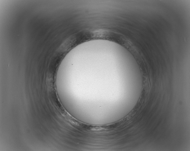 X0000081280557200701110937