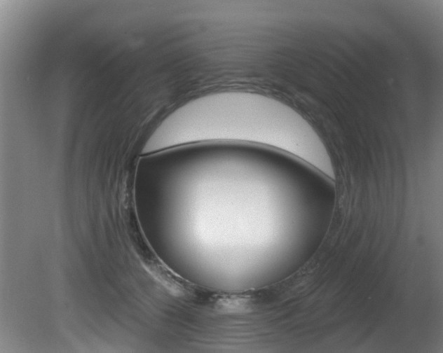 X0000081280560200701110937