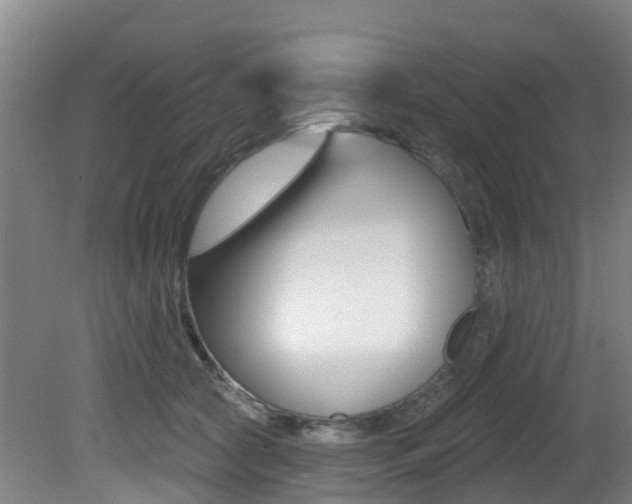 X0000081280561200701110937