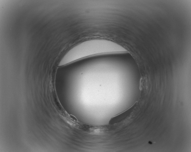X0000081280564200701110937