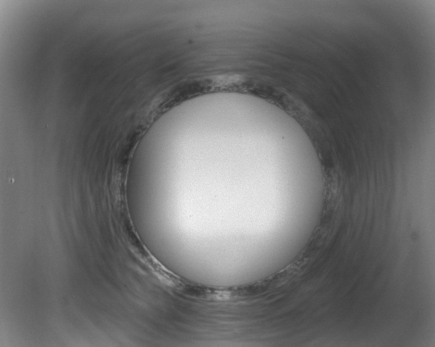 X0000081280565200701110937